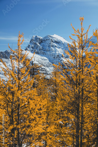 Hiking in Larch Valley, Banff