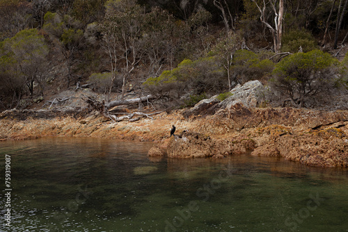 Australian nature landscape with water in New South Wales