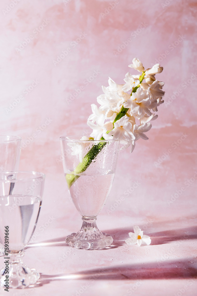 Hyacinth still Hyacinth still