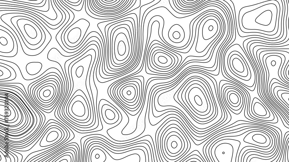 Topography Map Background Vector Banner Topography Map Background