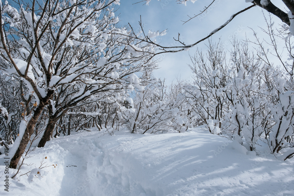 雪の登山道 雪の登山道