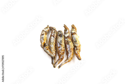 Seafood. Fried small sea fish, anchovies, capelin fish, isolated on white background