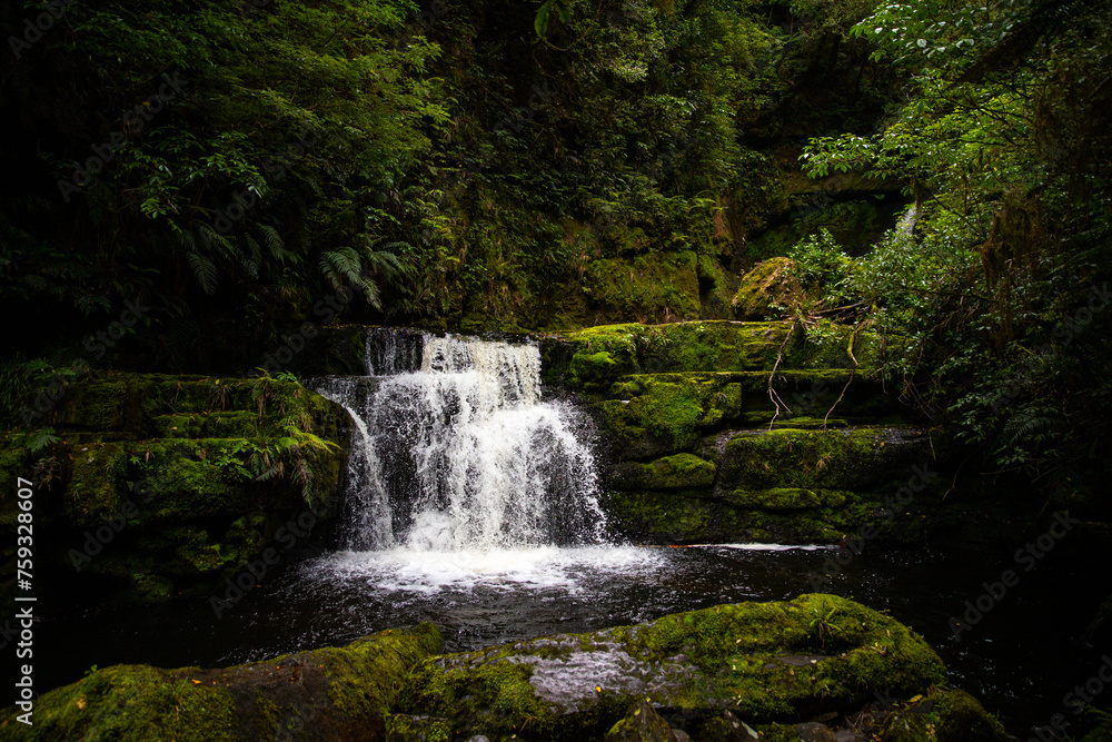 Fototapeta premium mighty hidden waterfall near MCLEAN FALLS surrounded by stunning native rainforest in Catlins Forest Park, Otago, New Zealand, hidden gems of NZ south island