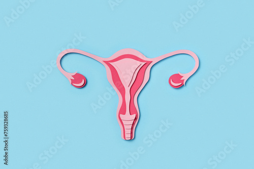 Paper anatomical structure of female uterus on light blue background
