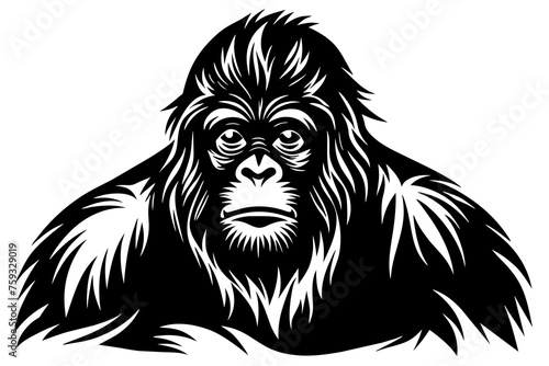 orangutan vector illustration