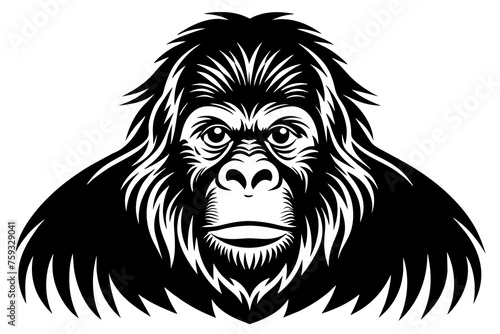 orangutan vector illustration