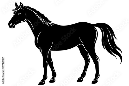 horse vector illustration