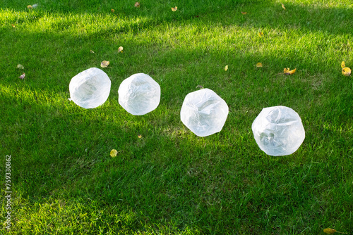 Clear plastic transparent balls in grass in garden with beam of light photo
