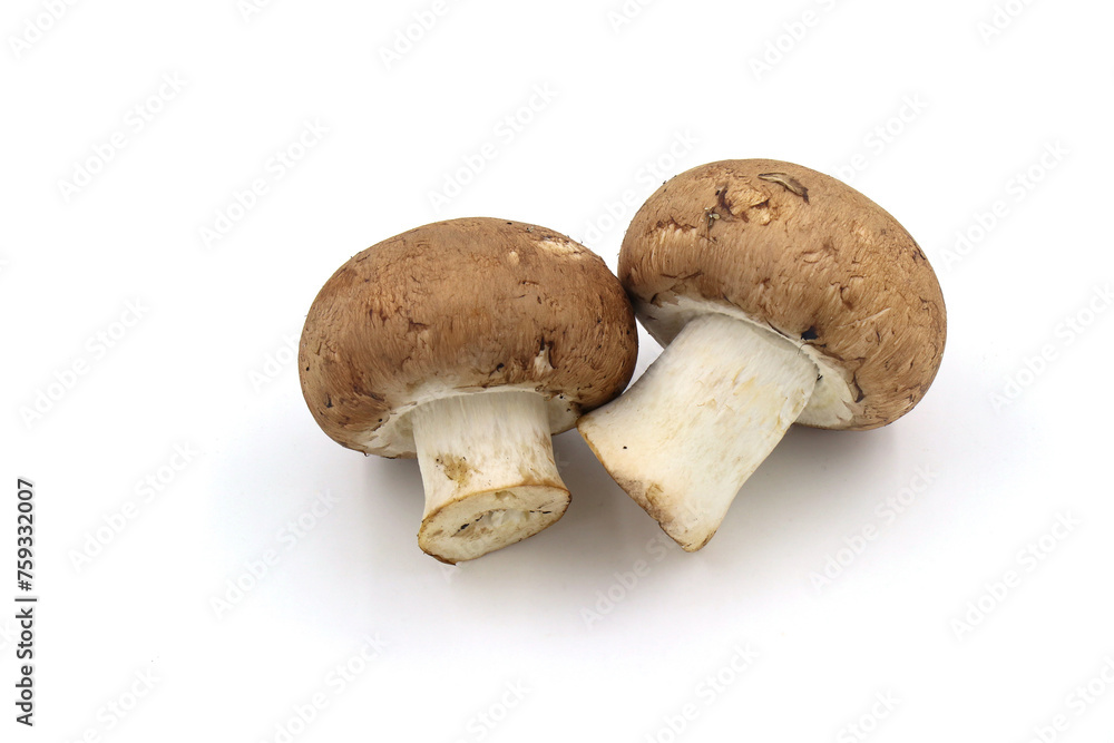 Fresh champignon mushrooms isolated on a white background. full depth of field. Fresh champignon mushrooms isolated on a white background. full depth of field.