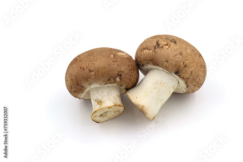 Fresh champignon mushrooms isolated on a white background. full depth of field.