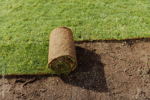 Turf