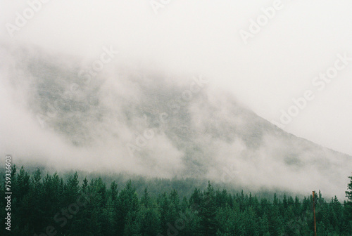 Clouds above the forest