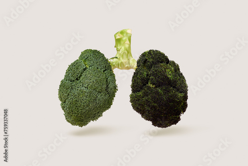 Lungs of the smoker made of broccoli photo