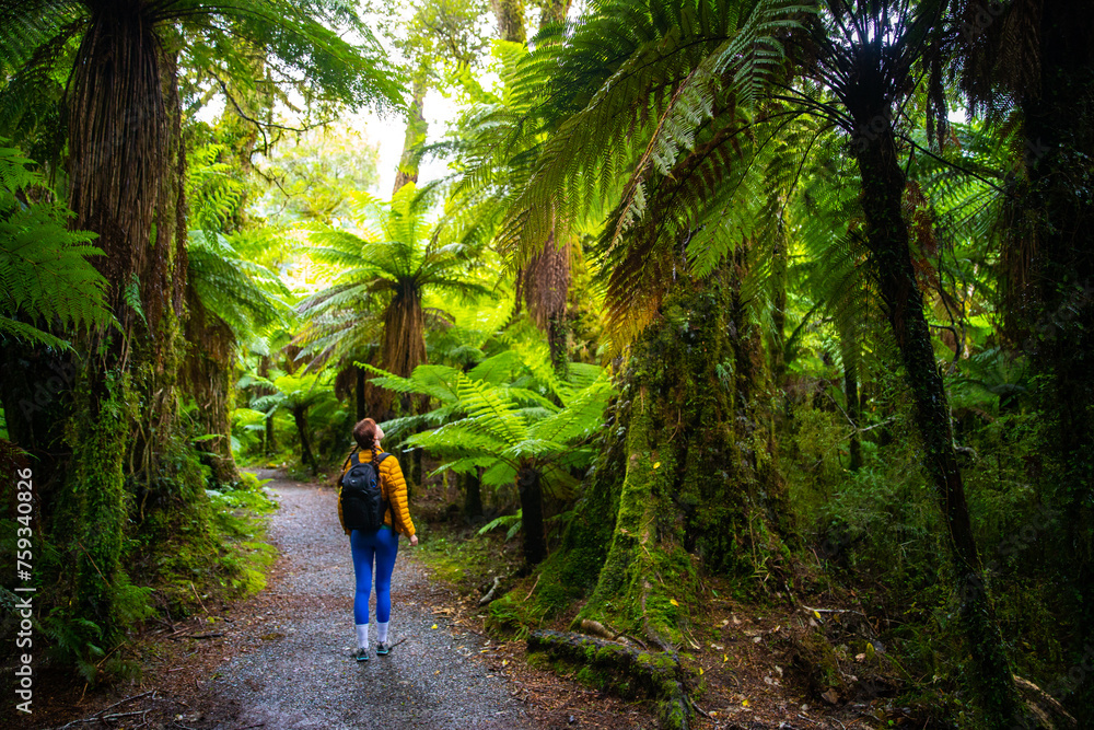 Fototapeta premium pretty girl enjoys a walk in a forest, backpacker surrounded with native vegetation in fiordland national park, new zealand south island
