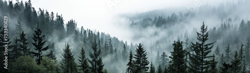 Foggy Day in the Mountains Website Banner, Website Header