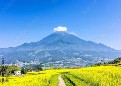 Vibrant Yellow Flower Field with a Majestic Mountain Background Under a Clear Blue Sky