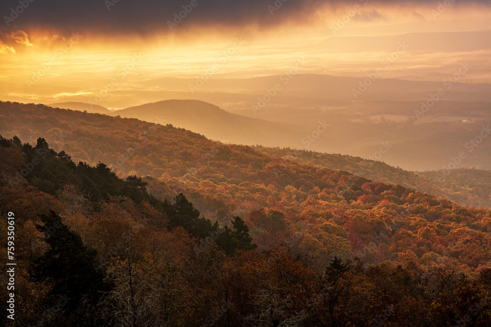Obraz premium Early morning low clouds and fog at Mount Magazine State Park.