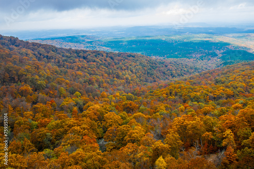 Beautiful autumn colors at Mount Magazine State Park.