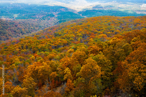 Beautiful autumn colors at Mount Magazine State Park.