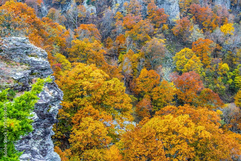 Beautiful autumn colors at Mount Magazine State Park. Beautiful autumn colors at Mount Magazine State Park.