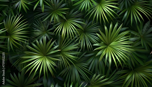 Palm leaves green pattern  abstract tropical green background