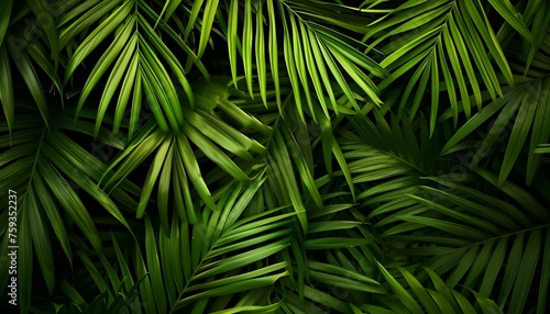 Palm leaves green pattern  abstract tropical green background