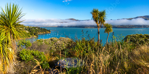 panorama of cass bay and banks peninsula as seen from pony point; famous coastal walk near christchurch and lyttelton, canterbury, new zealand south island