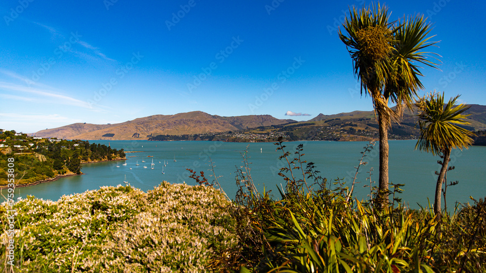 panorama of cass bay and banks peninsula as seen from pony point; famous coastal walk near christchurch and lyttelton, canterbury, new zealand south island panorama of cass bay and banks peninsula as seen from pony point; famous coastal walk near christchurch and lyttelton, canterbury, new zealand south island