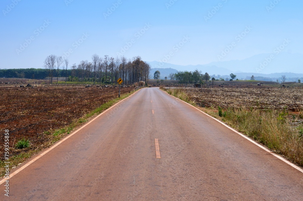 road in the countryside