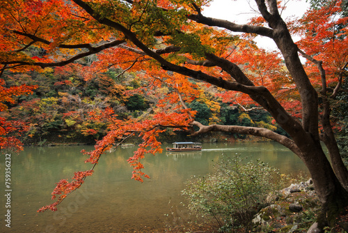 Fototapeta Naklejka Na Ścianę i Meble -  Arashiyama in Autumn in Kyoto, Japan