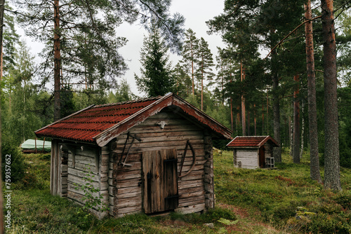 Forest offgrid hut photo