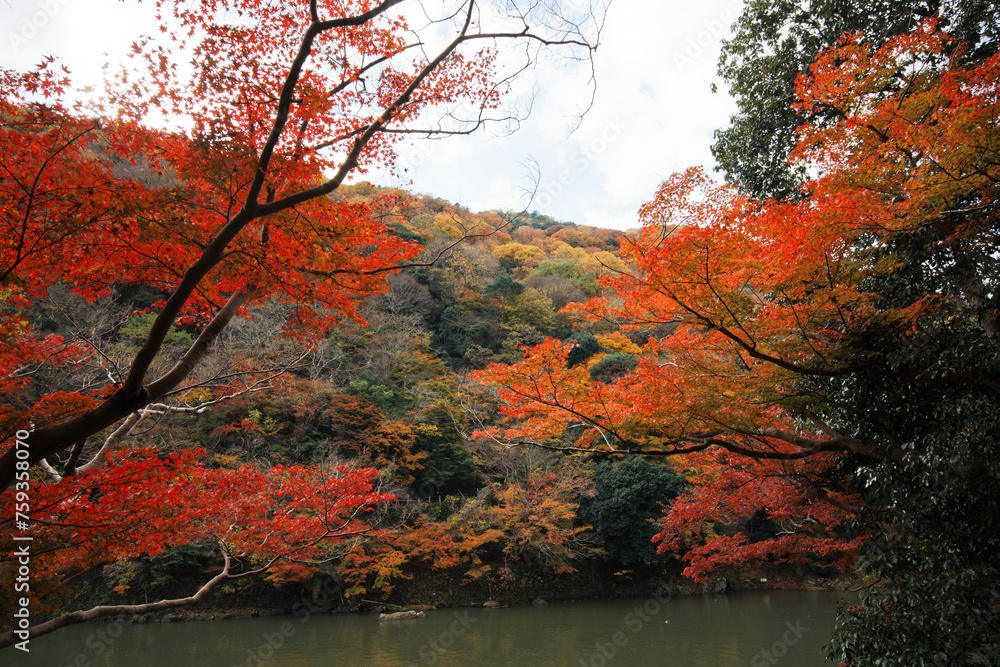 Arashiyama in Autumn in Kyoto, Japan Arashiyama in Autumn in Kyoto, Japan