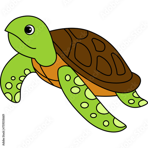 Turtle Illustration Cartoon