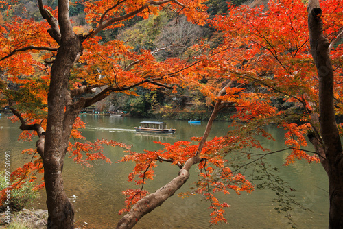 Fototapeta Naklejka Na Ścianę i Meble -  Arashiyama in Autumn in Kyoto, Japan