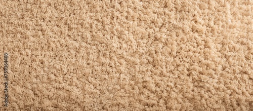 Wallpaper Mural beige carpet texture up close Torontodigital.ca