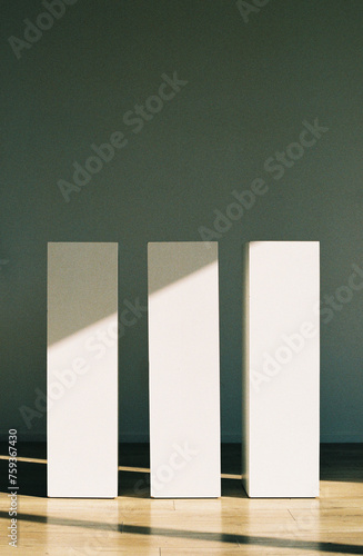 Minimal White Columns Pedestals in Sunlight photo