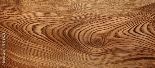 Pattern of oak on laminated texture