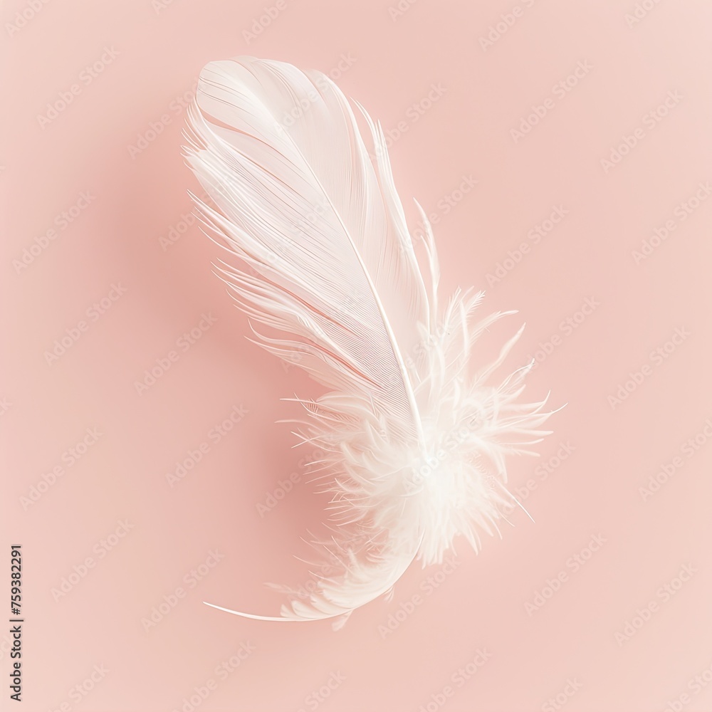 A crisp white feather floating gently against a clean