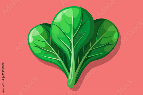 Fresh spinach leaves form a vibrant green backdrop.