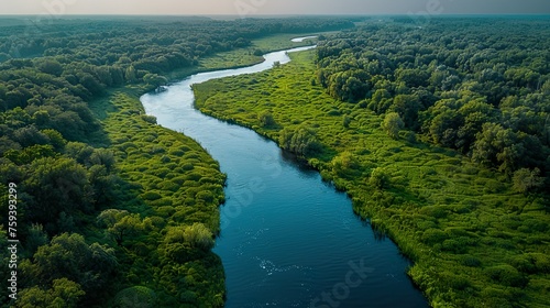 Forest with a large extended river seen from above in the late afternoon.
