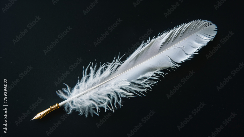 Obraz premium white feather on black background