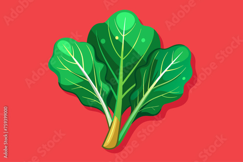Swiss chard, a leafy green vegetable, is captured in this image against a plain background.