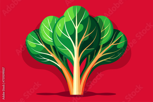 Swiss chard, a leafy green vegetable, is captured in this image against a plain background.