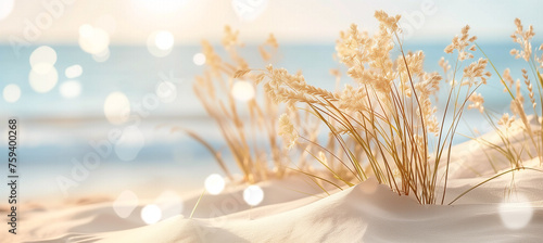 Tranquil summer beach landscape with sand dunes and sunlit beige plants photo