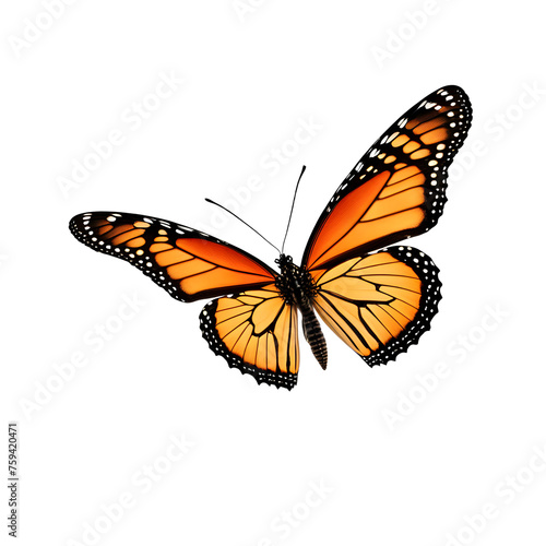 Monarch Butterfly Isolated on Transparent Background