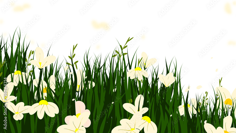 Grass Flowers Field Border, Daisies Meadow Background