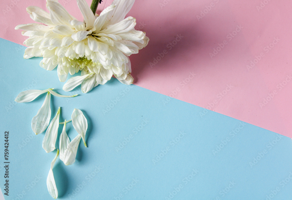 paper with flower decoration on the edge for greeting cards or promotional media. copy space. woman ideas. romantic paper. wedding day paper with flower decoration on the edge for greeting cards or promotional media. copy space. woman ideas. romantic paper. wedding day