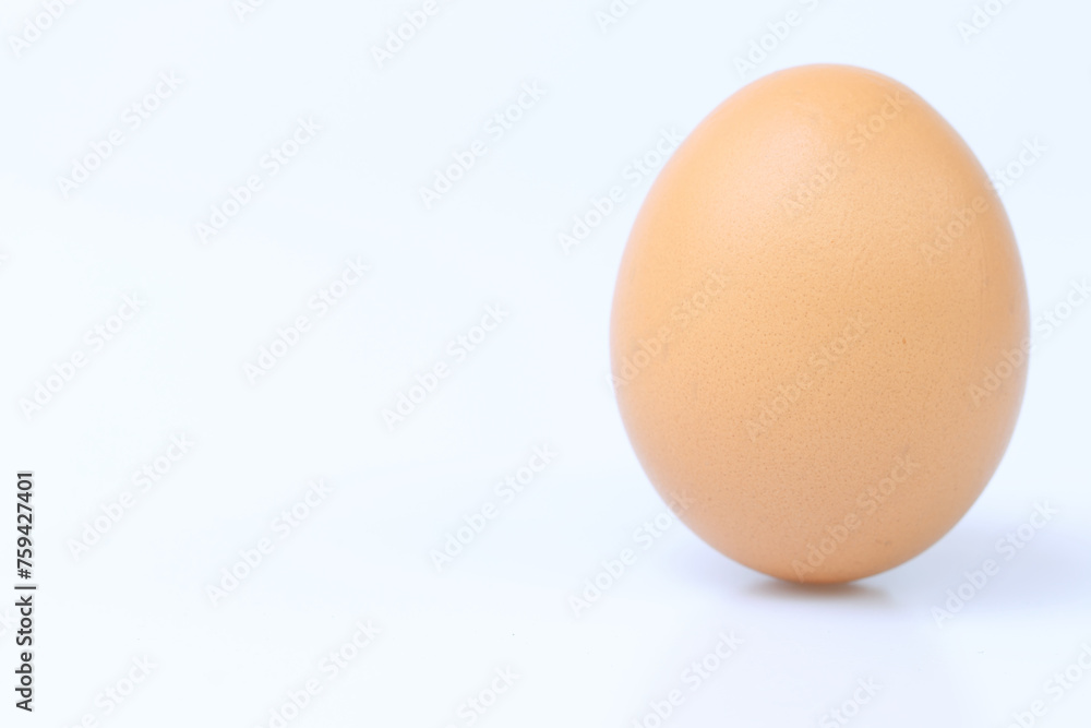egg egg
