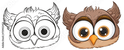 Vector illustration of an owl, colored and line art.