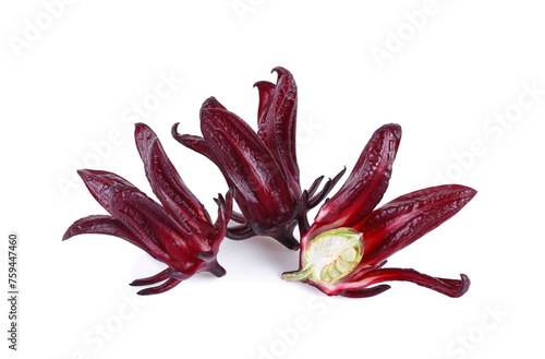 roselle hibiscus isolated on white background